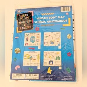 Human Body Map Educational Poster